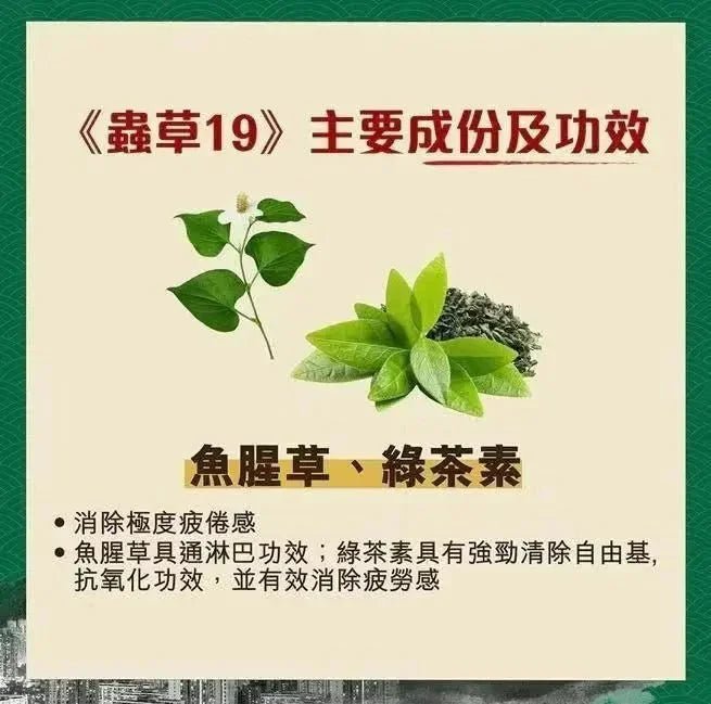 全城do姐價😍 蟲草大王《蟲草19》60粒裝 **新優惠💥 3件起 送1版仔 (售完即止)** - HLY &amp; CHOCCICO