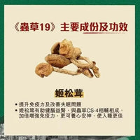 全城do姐價😍 蟲草大王《蟲草19》60粒裝 **新優惠💥 3件起 送1版仔 (售完即止)** HLY & CHOCCICO