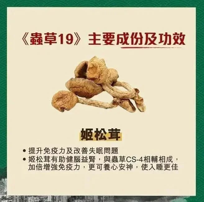 全城do姐價😍 蟲草大王《蟲草19》60粒裝 **新優惠💥 3件起 送1版仔 (售完即止)** - HLY &amp; CHOCCICO