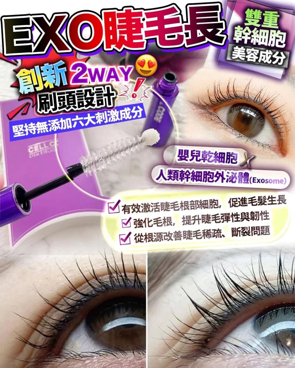 Exo睫毛長 - HLY &amp; CHOCCICO