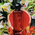 HERMES EAU DE RHUBARBE ECARLATE EDC 100 ML - HLY & CHOCCICO