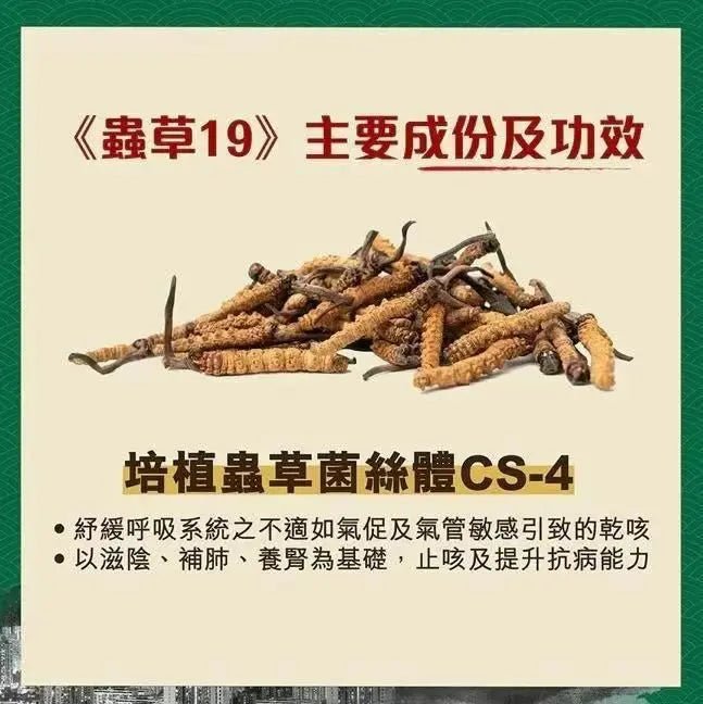 全城do姐價😍 蟲草大王《蟲草19》60粒裝 **新優惠💥 3件起 送1版仔 (售完即止)** HLY & CHOCCICO