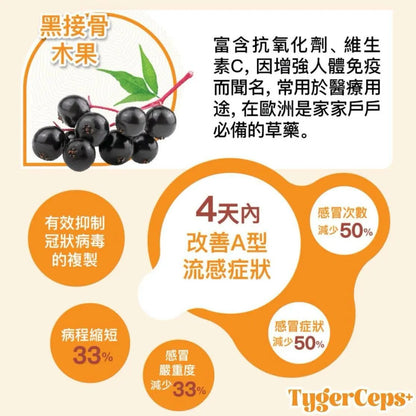 【一口價$499/盒】⭐️最新升級版配方⭐ TygerCeps+ 虎乳芝益肺寶 每盒有20包（一包20ml） - HLY & CHOCCICO
