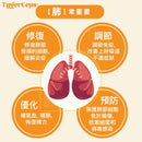 【一口價$499/盒】⭐️最新升級版配方⭐ TygerCeps+ 虎乳芝益肺寶 每盒有20包（一包20ml） - HLY & CHOCCICO