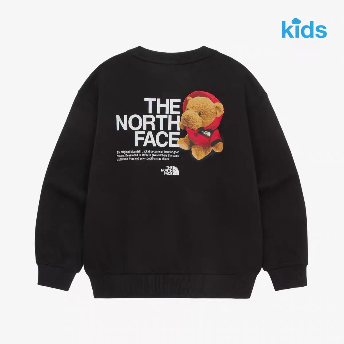 TNF Kids Glen Stripe L/S Sweatshirt - HLY &amp; CHOCCICO