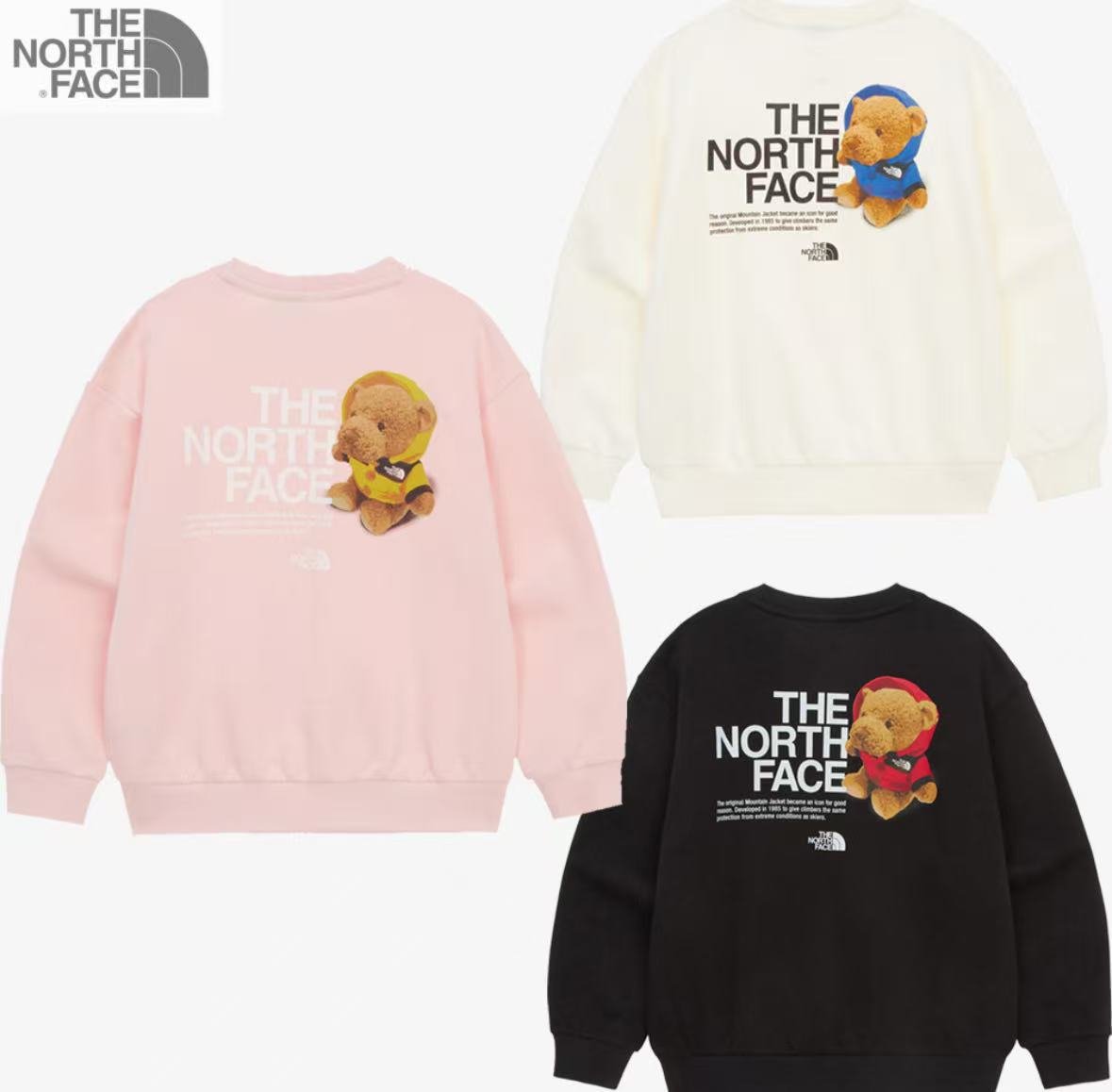 TNF Kids Glen Stripe L/S Sweatshirt - HLY &amp; CHOCCICO