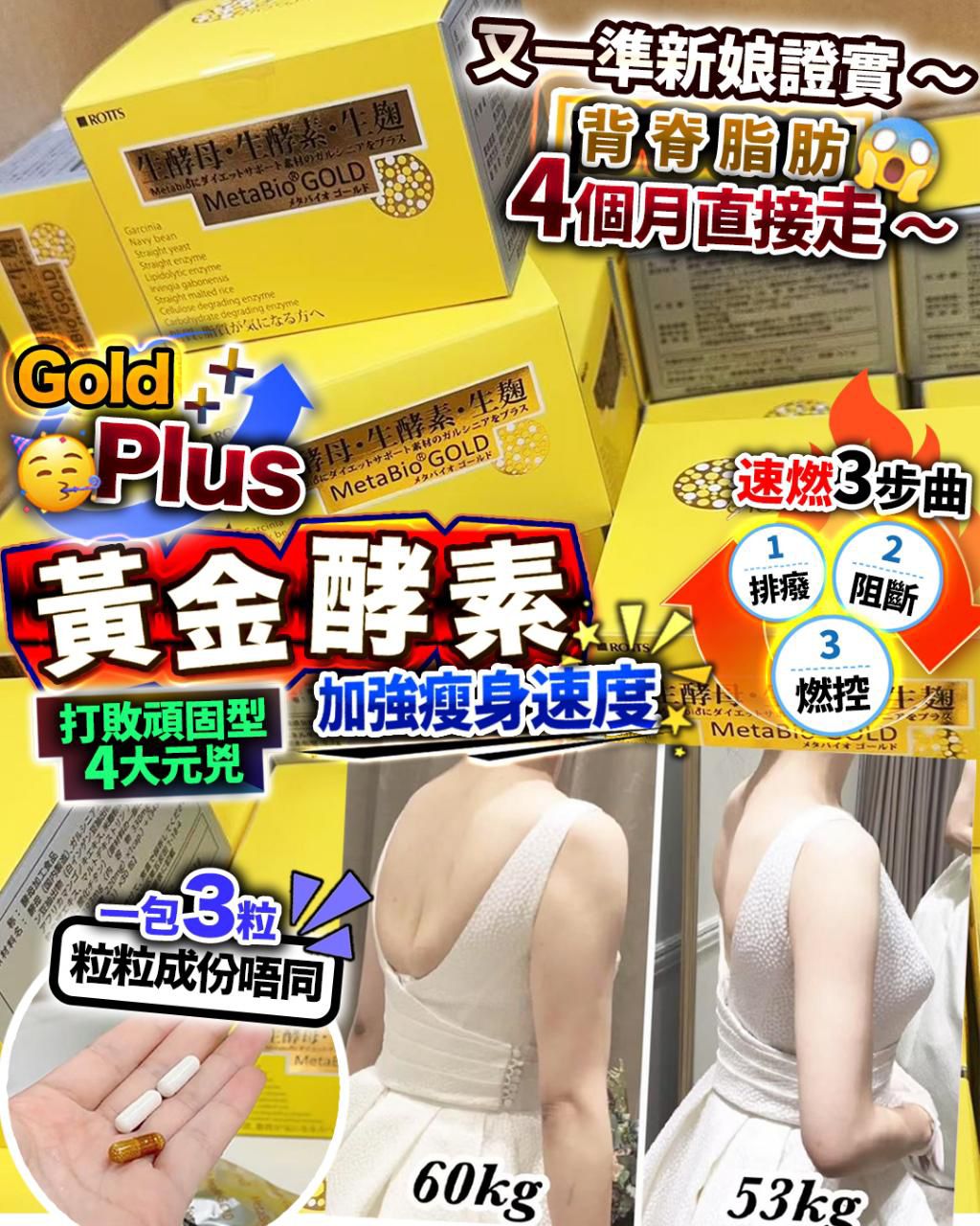 日本黃金酵素 - HLY & CHOCCICO