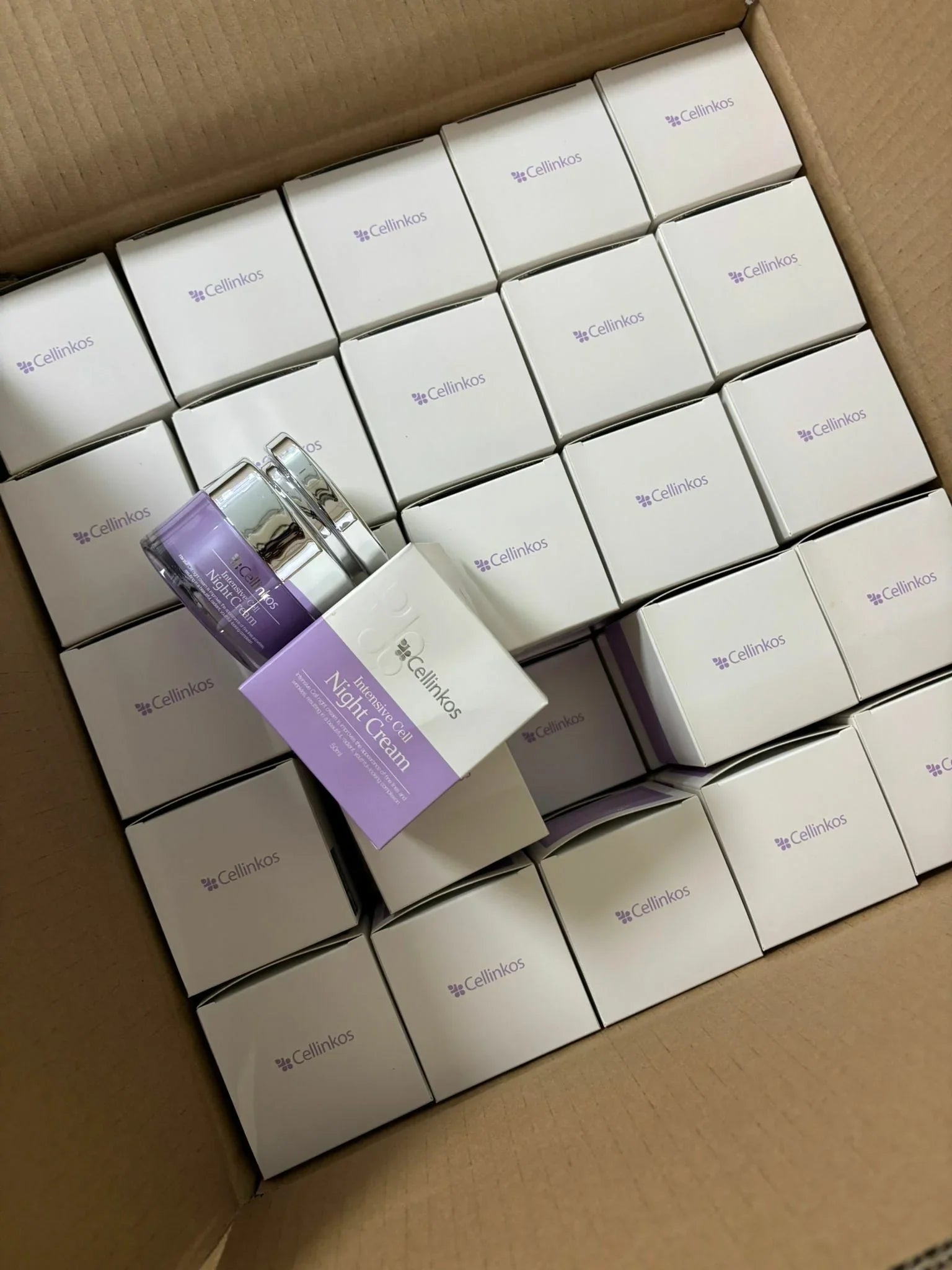 Cellinkos細胞煥膚重新晚霜 - HLY & CHOCCICO