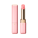 Cle de Peau Beaute CDP 完美亮澤潤唇膏 2.8g  (免稅貨) - HLY & CHOCCICO