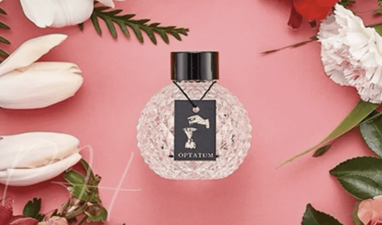 💁🏻‍♀韓國OPTATUM 芳香擴香瓶 100ml OPTATUM香薰+香薰棒