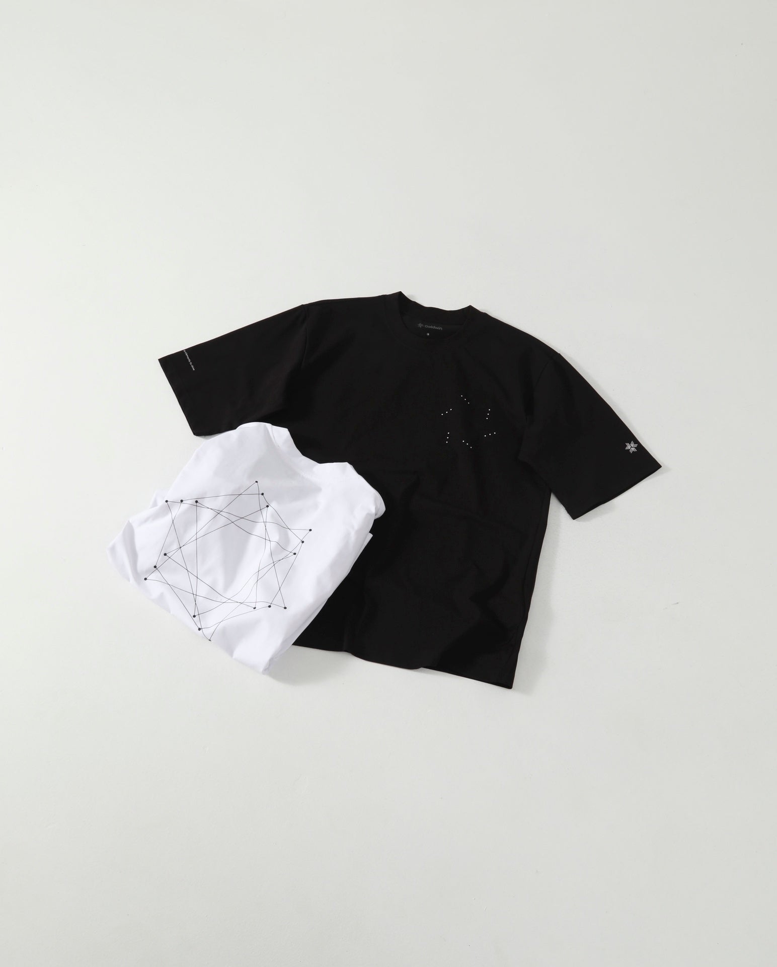 Goldwin Graphic Tee (大廠)