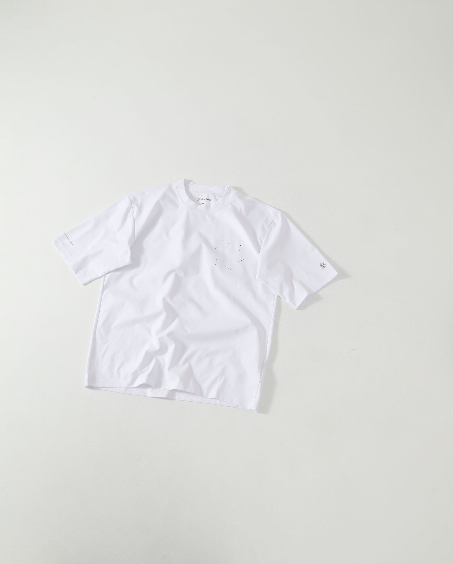 Goldwin Graphic Tee (大廠)