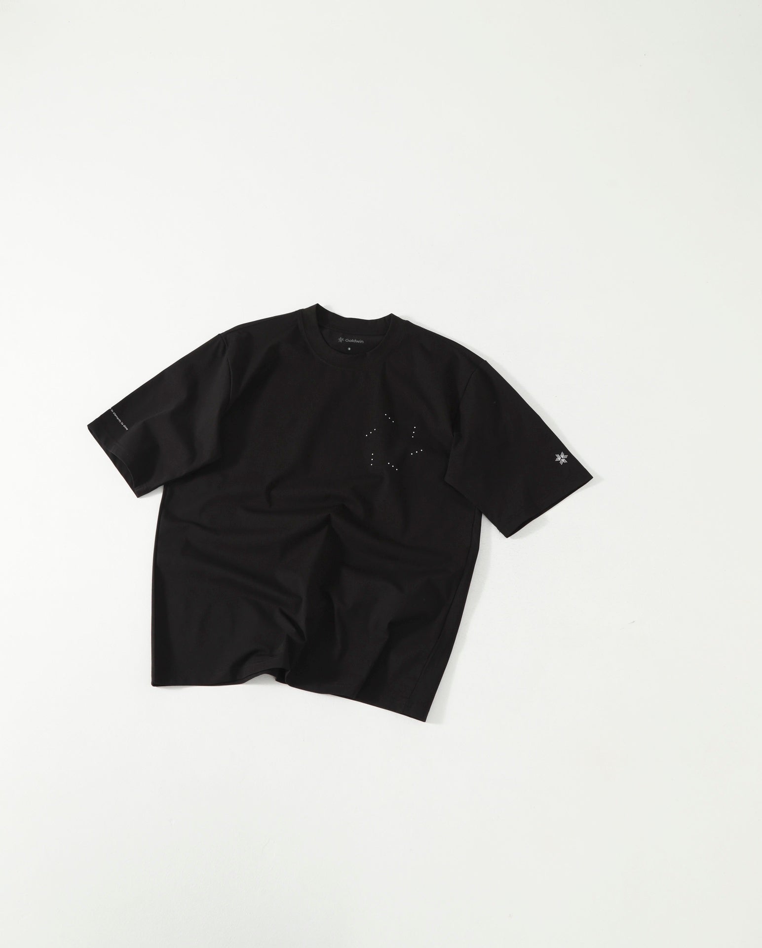 Goldwin Graphic Tee (大廠)