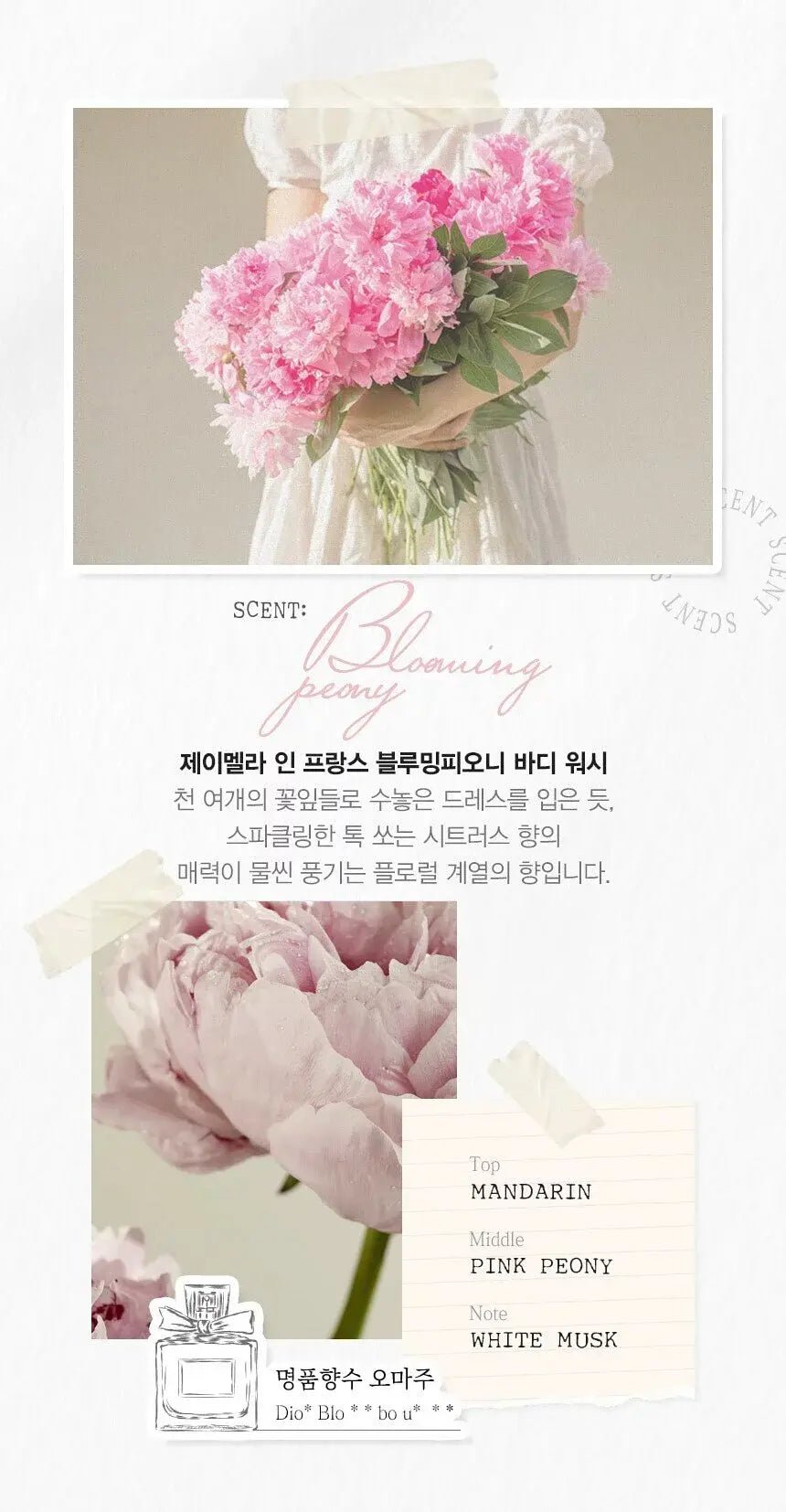 韓國 Jmella 法國香水保濕沐浴露1000ml ✨5款香味選擇✨ - HLY & CHOCCICO