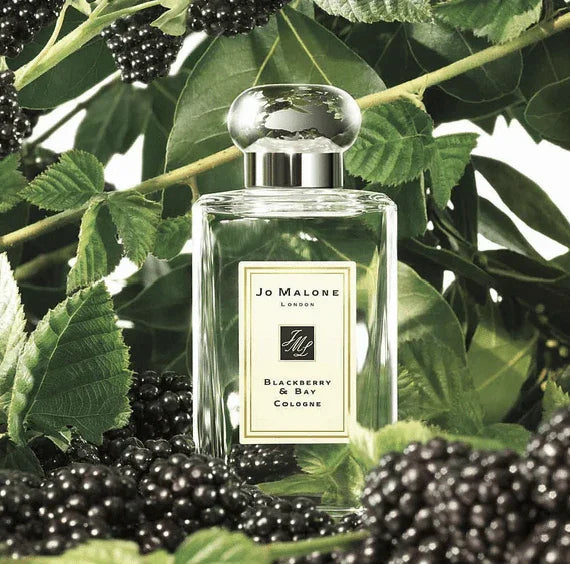 Jo Malone黑莓子與月桂葉香水100ml (免稅貨) - HLY &amp; CHOCCICO
