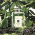 Jo Malone黑莓子與月桂葉香水100ml (免稅貨) - HLY & CHOCCICO