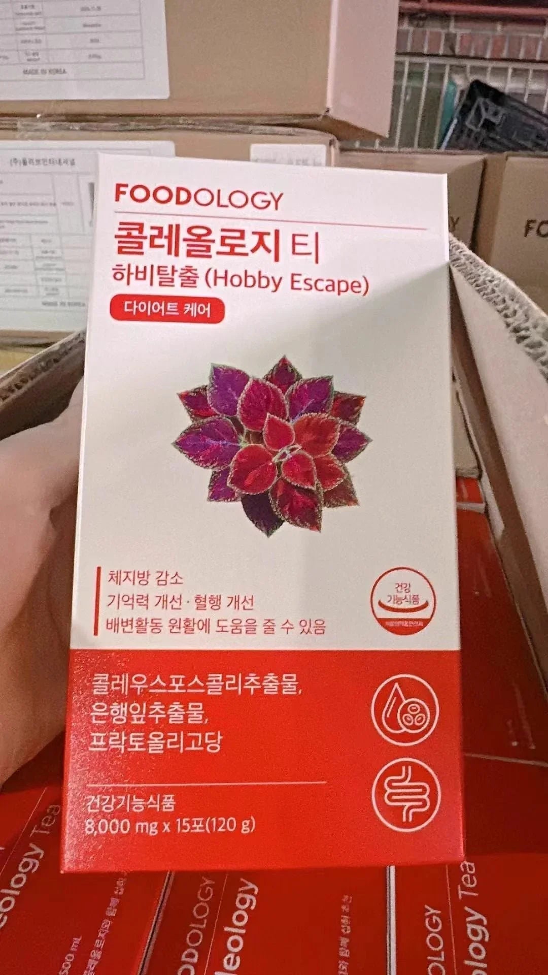 🟣KO182 FOODOLOGY - Coleology Tea 五彩蘇植物纖體茶 8g x 15條 - HLY &amp; CHOCCICO