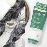 韓國🇰🇷Labo H頭皮護理防脫髮益生菌膠囊護髮素200ml HLY & CHOCCICO