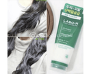 韓國🇰🇷Labo H頭皮護理防脫髮益生菌膠囊護髮素200ml HLY & CHOCCICO