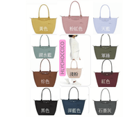 Le Pliage 環保系列 手袋👜10色選擇🩷（Mini / S / M / L ) - HLY & CHOCCICO