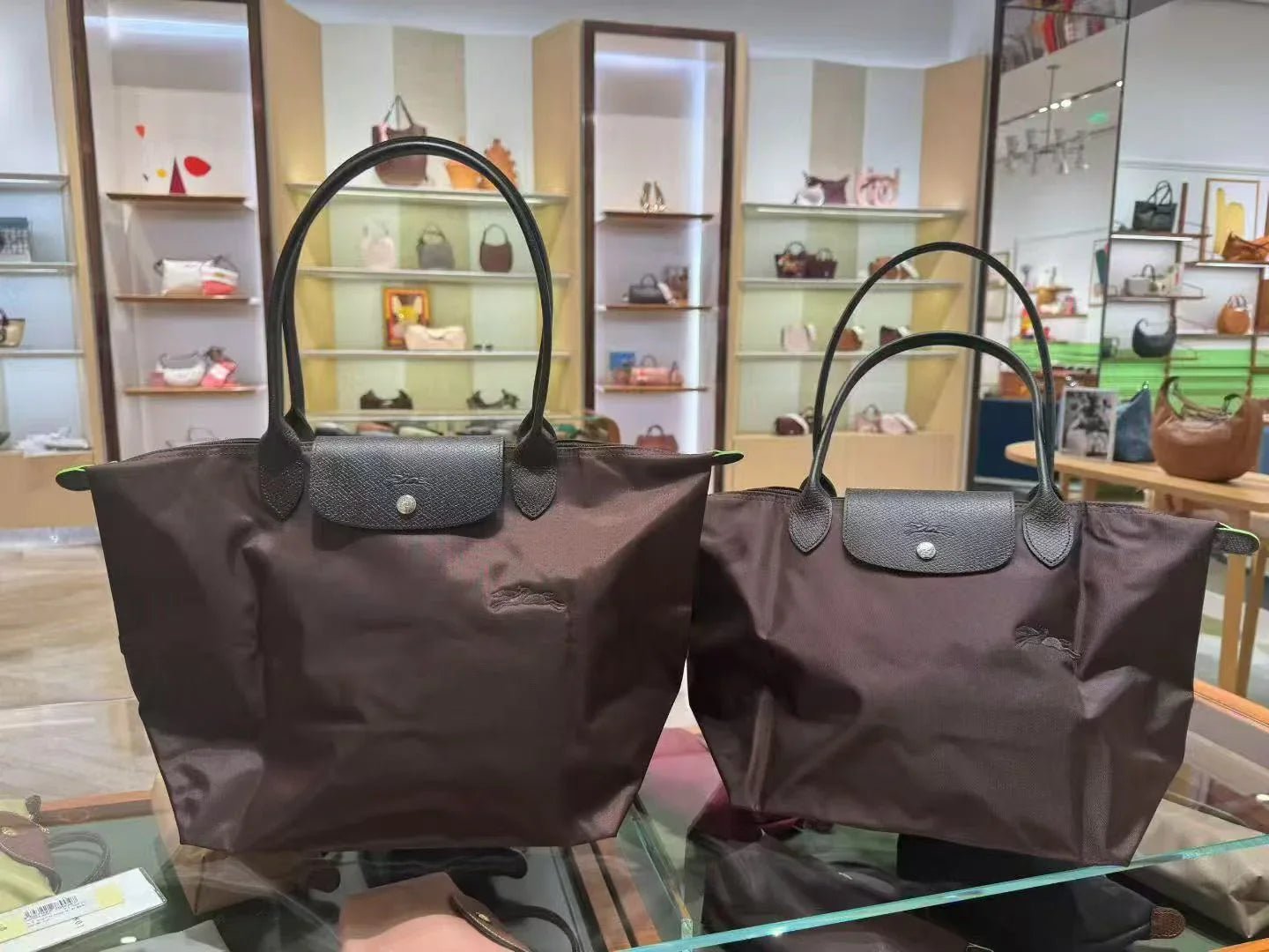 Le Pliage 環保系列 手袋👜13色選擇🩷（Mini / S / M / L ) - HLY &amp; CHOCCICO