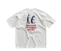 Marmot Mountain Works Tee HLY & CHOCCICO