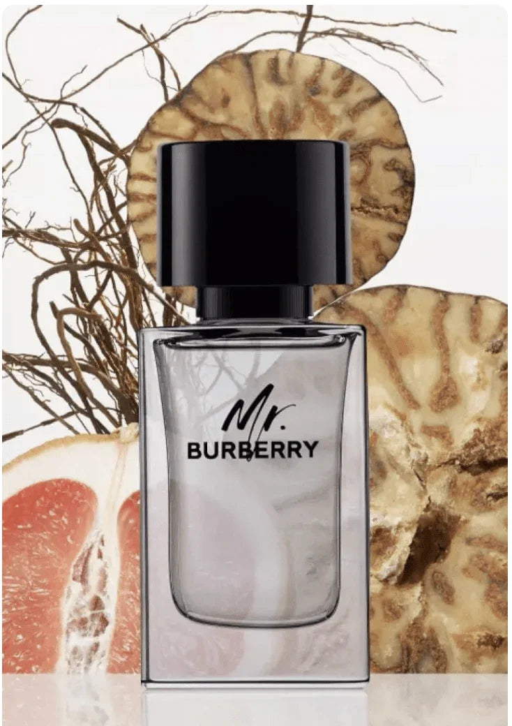 Mr Burberry For Men Eau De Toilette 淡香水(50ml ,100ml,150ml) - HLY &amp; CHOCCICO