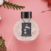 💁🏻‍♀韓國OPTATUM 芳香擴香瓶 100ml OPTATUM香薰+香薰棒 HLY & CHOCCICO