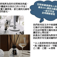 💁🏻‍♀韓國OPTATUM 芳香擴香瓶 100ml OPTATUM香薰+香薰棒 HLY & CHOCCICO