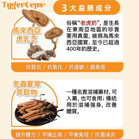 【一口價$499/盒】⭐️最新升級版配方⭐ TygerCeps+ 虎乳芝益肺寶 每盒有20包（一包20ml）