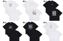 日本直送Assorted Graphic Tee WEGO LADY'S