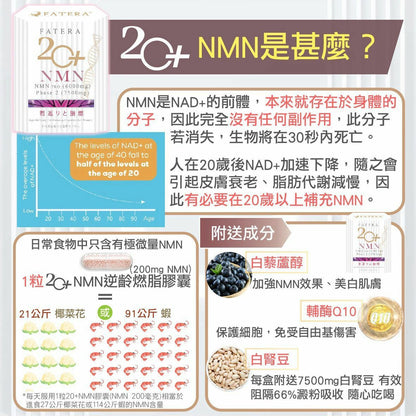 【一口價$248 /盒】Fatera 20+ NMN