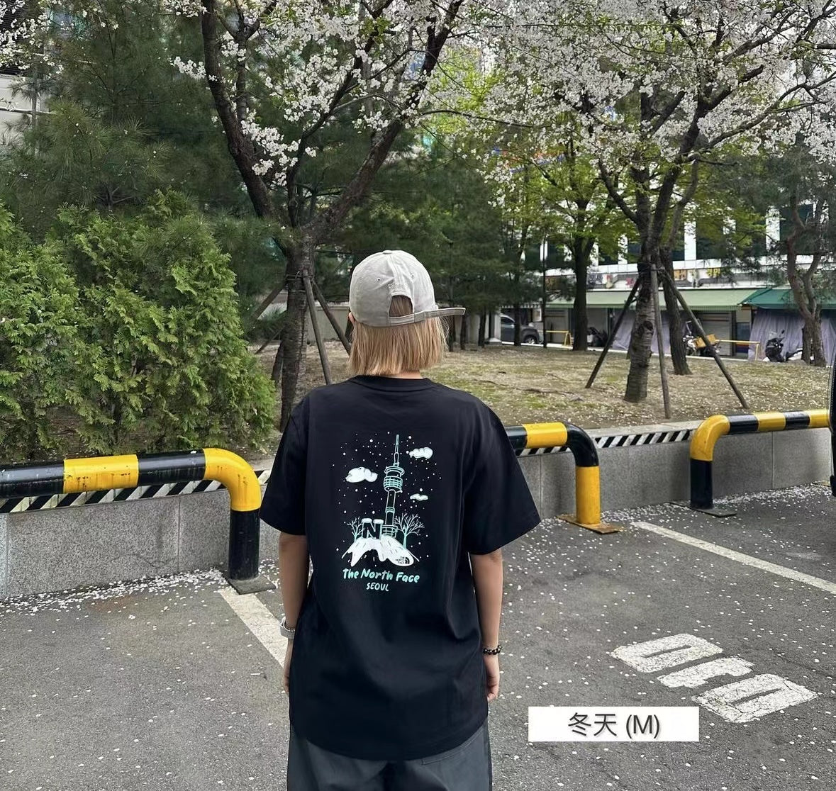 TNF Seoul four seasons Tee -4 Color