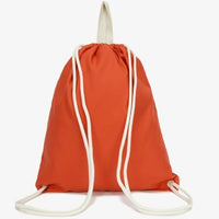 韓國直送 TNF BIG LOGO BAG  -7 Colors HLY & CHOCCICO