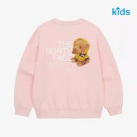 TNF Kids Glen Stripe L/S Sweatshirt - HLY & CHOCCICO