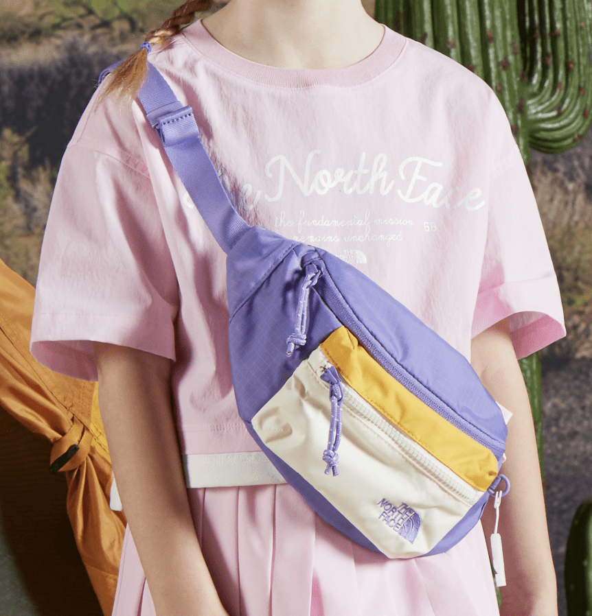 TNF K'S WAIST BAG L - HLY & CHOCCICO