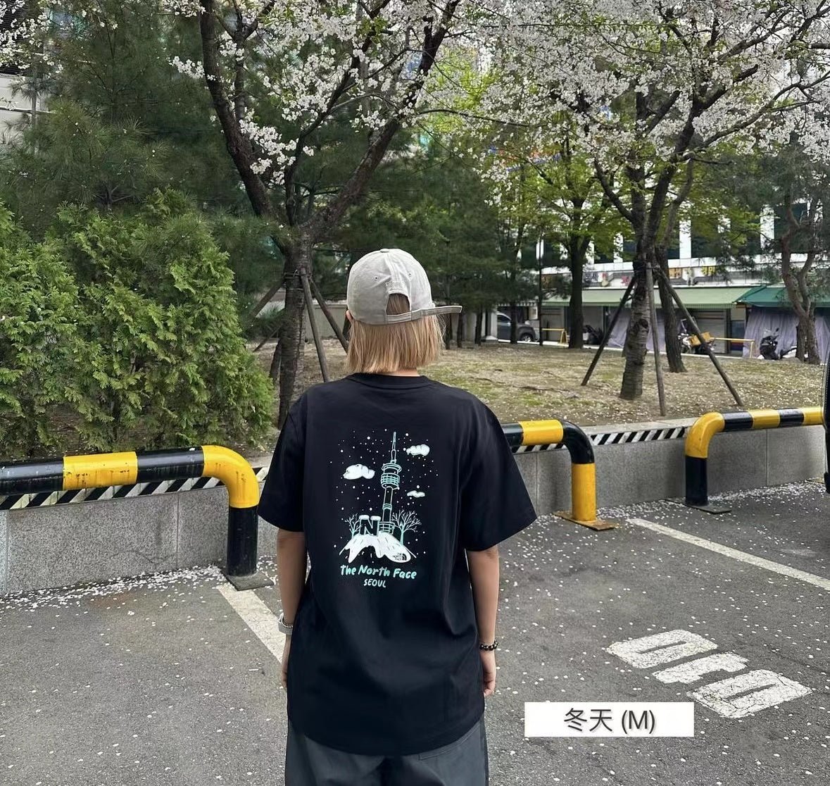 TNF Seoul four seasons Tee -4 Color - HLY & CHOCCICO