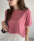 日本直送U.S. POLO ASSN. one - point embroidery compact silhouette basic Tee 🌟 - HLY & CHOCCICO